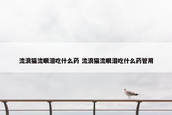 流浪猫流眼泪吃什么药 流浪猫流眼泪吃什么药管用