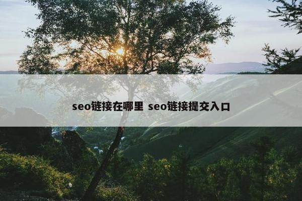 seo链接在哪里 seo链接提交入口