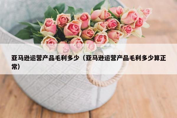 亚马逊运营产品毛利多少（亚马逊运营产品毛利多少算正常）