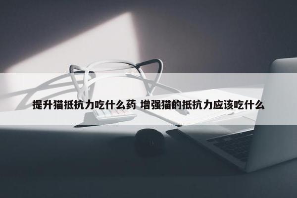 提升猫抵抗力吃什么药 增强猫的抵抗力应该吃什么