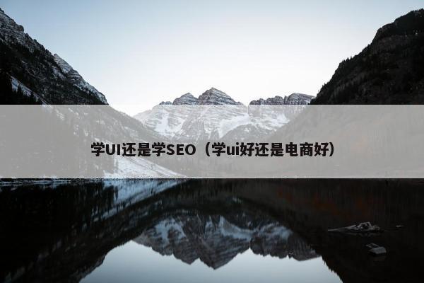 学UI还是学SEO（学ui好还是电商好）