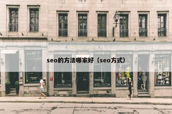 seo的方法哪家好（seo方式）