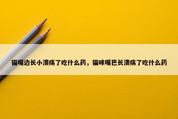 猫嘴边长小溃疡了吃什么药，猫咪嘴巴长溃疡了吃什么药