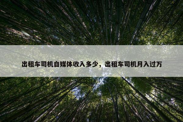 出租车司机自媒体收入多少，出租车司机月入过万