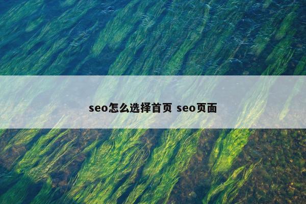 seo怎么选择首页 seo页面