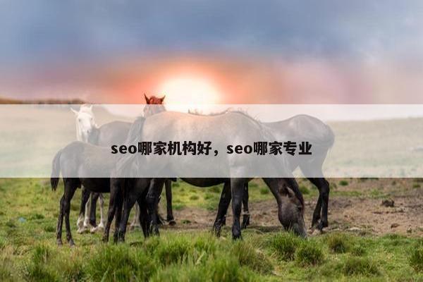 seo哪家机构好，seo哪家专业