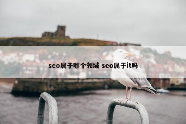 seo属于哪个领域 seo属于it吗