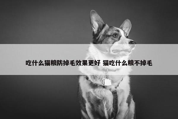 吃什么猫粮防掉毛效果更好 猫吃什么粮不掉毛