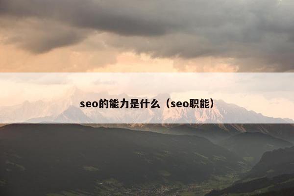 seo的能力是什么（seo职能）