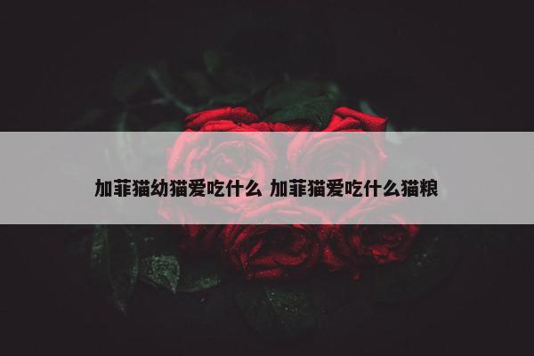 加菲猫幼猫爱吃什么 加菲猫爱吃什么猫粮