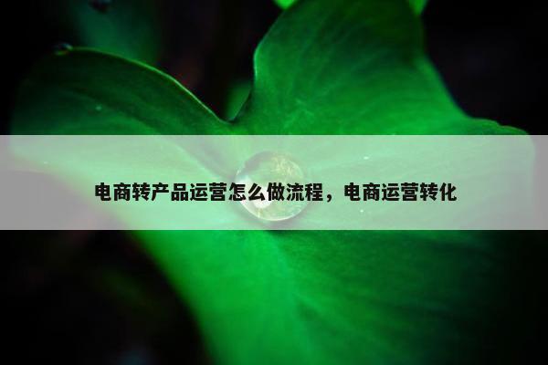 电商转产品运营怎么做流程，电商运营转化