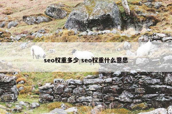 seo权重多少 seo权重什么意思