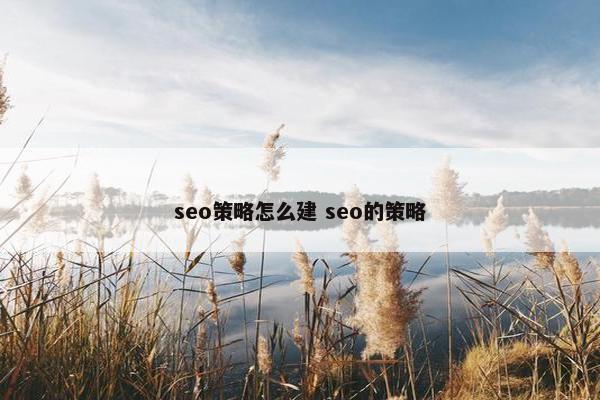 seo策略怎么建 seo的策略