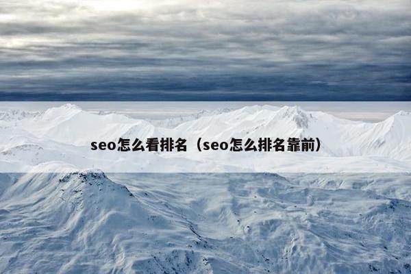 seo怎么看排名（seo怎么排名靠前）