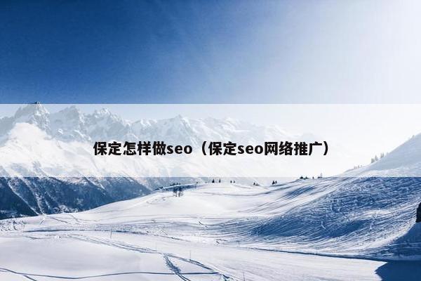 保定怎样做seo（保定seo网络推广）