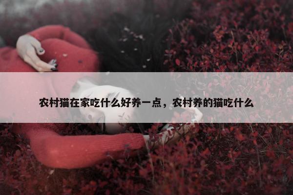 农村猫在家吃什么好养一点，农村养的猫吃什么