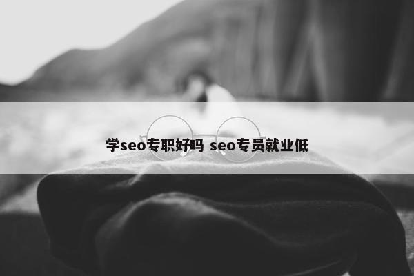 学seo专职好吗 seo专员就业低