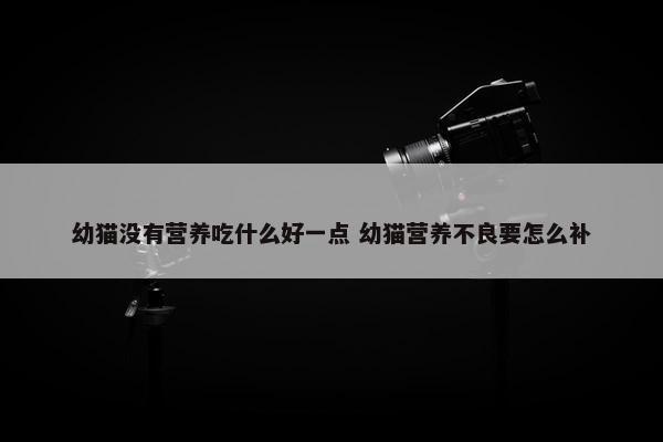 幼猫没有营养吃什么好一点 幼猫营养不良要怎么补