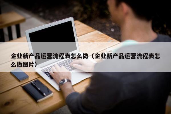 企业新产品运营流程表怎么做（企业新产品运营流程表怎么做图片）