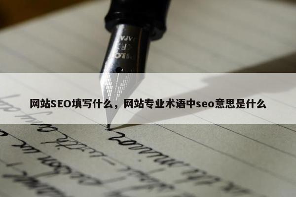 网站SEO填写什么，网站专业术语中seo意思是什么