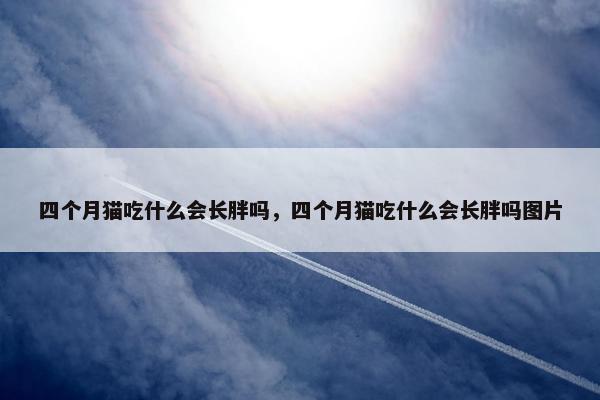 四个月猫吃什么会长胖吗，四个月猫吃什么会长胖吗图片