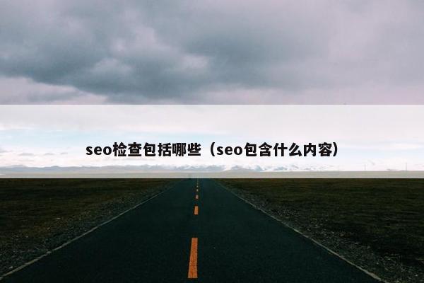 seo检查包括哪些（seo包含什么内容）