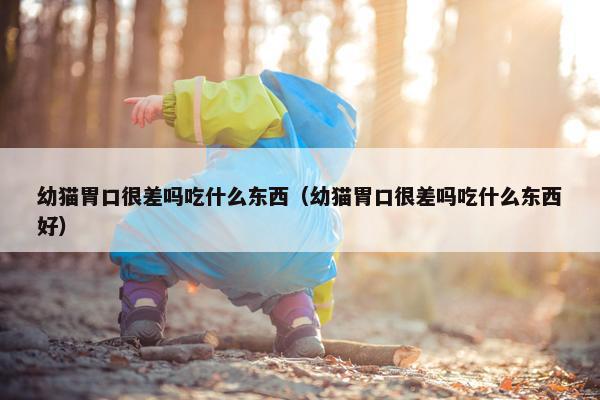 幼猫胃口很差吗吃什么东西（幼猫胃口很差吗吃什么东西好）