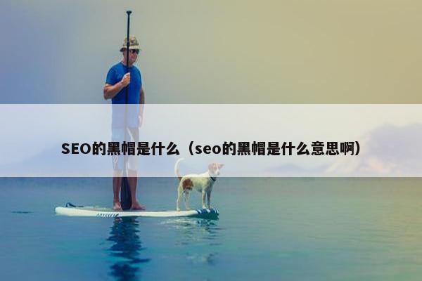 SEO的黑帽是什么（seo的黑帽是什么意思啊）