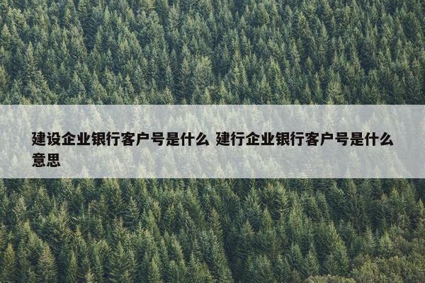 建设企业银行客户号是什么 建行企业银行客户号是什么意思