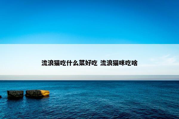 流浪猫吃什么菜好吃 流浪猫咪吃啥