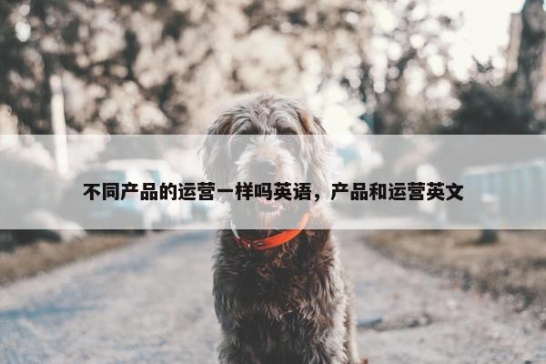 不同产品的运营一样吗英语，产品和运营英文