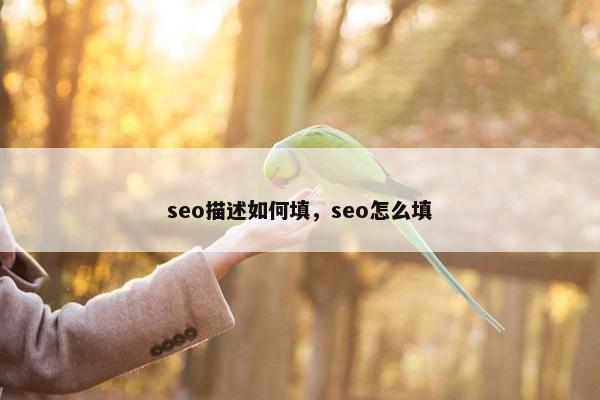 seo描述如何填，seo怎么填