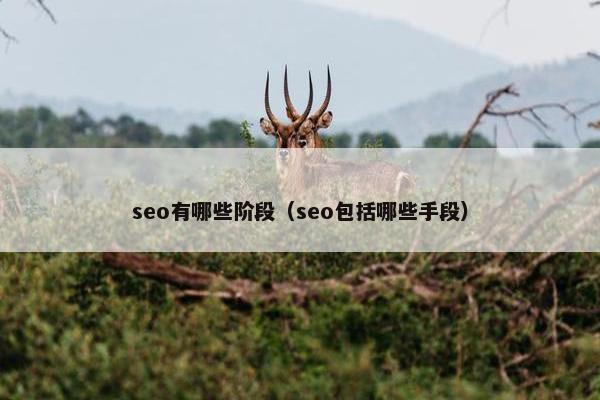 seo有哪些阶段（seo包括哪些手段）