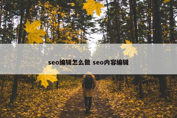 seo编辑怎么做 seo内容编辑