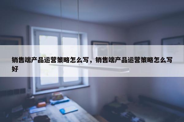 销售端产品运营策略怎么写，销售端产品运营策略怎么写好