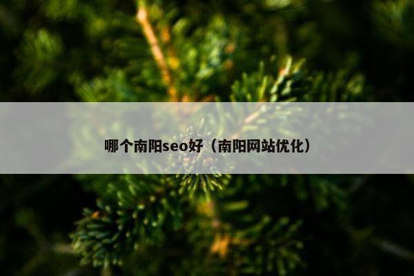 哪个南阳seo好（南阳网站优化）