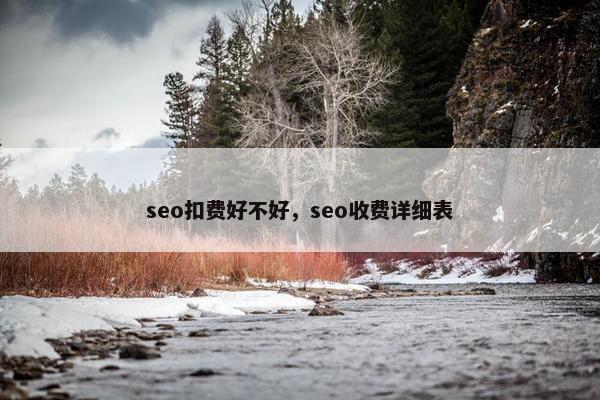 seo扣费好不好，seo收费详细表