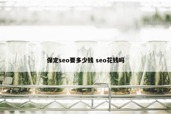 保定seo要多少钱 seo花钱吗