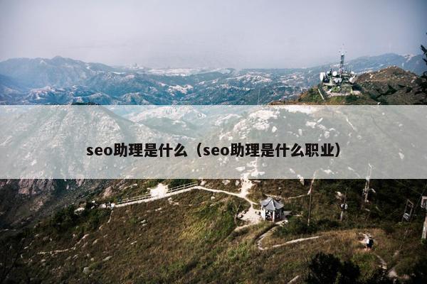 seo助理是什么（seo助理是什么职业）