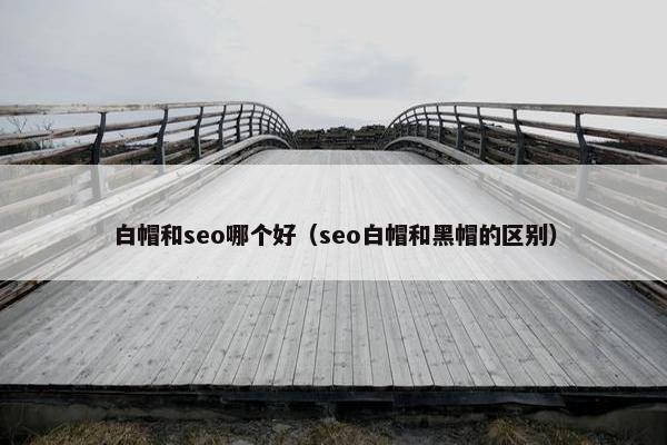 白帽和seo哪个好（seo白帽和黑帽的区别）