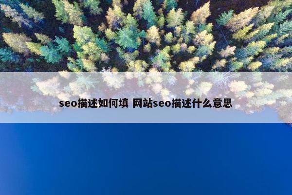 seo描述如何填 网站seo描述什么意思