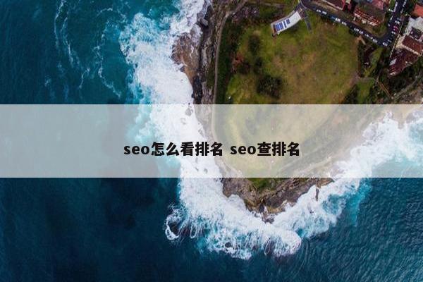 seo怎么看排名 seo查排名