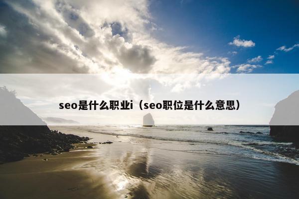 seo是什么职业i（seo职位是什么意思）