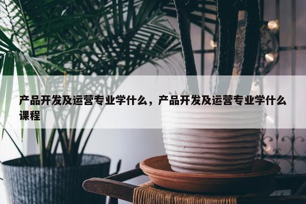 产品开发及运营专业学什么，产品开发及运营专业学什么课程