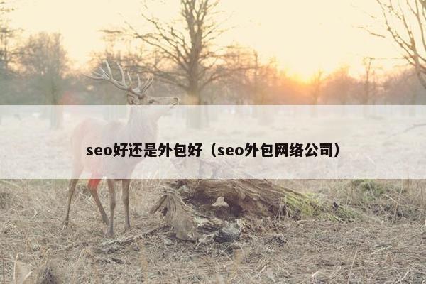 seo好还是外包好（seo外包网络公司）