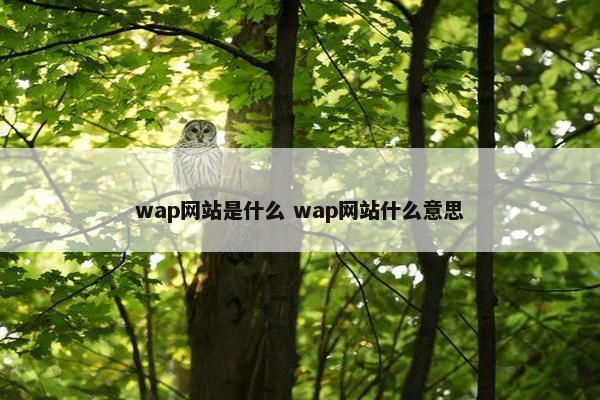 wap网站是什么 wap网站什么意思