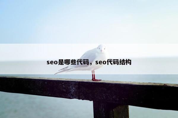 seo是哪些代码，seo代码结构