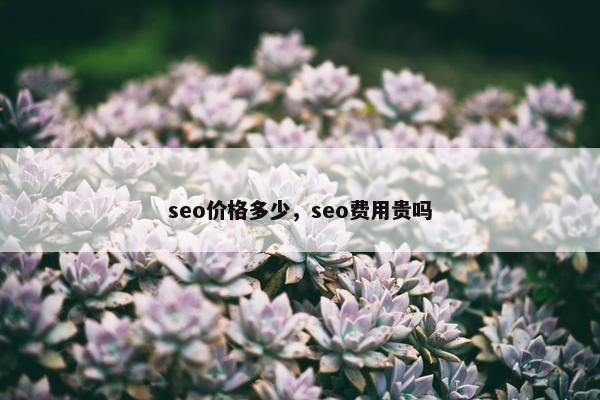 seo价格多少，seo费用贵吗