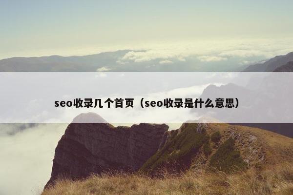 seo收录几个首页（seo收录是什么意思）