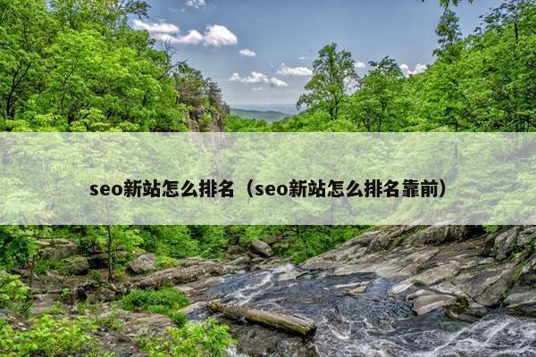 seo新站怎么排名（seo新站怎么排名靠前）